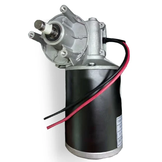 Motor de engranaje helicoidal micro de 24 V y 150 W CC Fabricante de motores eléctricos de alto torque en Europa